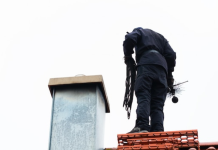 Wild Intruders Chimney Sweep Dallas Rescues Chimneys from Animal Invaders