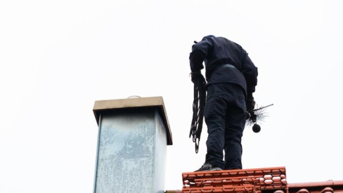 Wild Intruders Chimney Sweep Dallas Rescues Chimneys from Animal Invaders