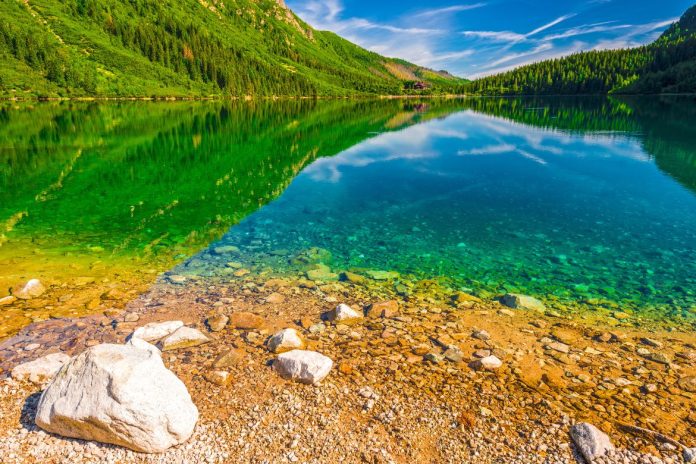 What’s at the Bottom of Clear Lake