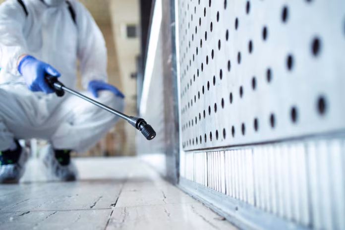 Mold Remediation Marketing: Reaching Customers in the Digital Age