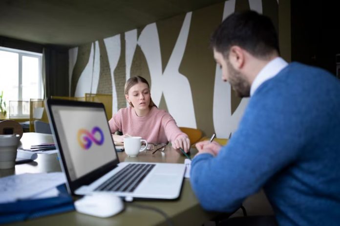 What Is Procapita Hub and Why Does It Matter for Your Business