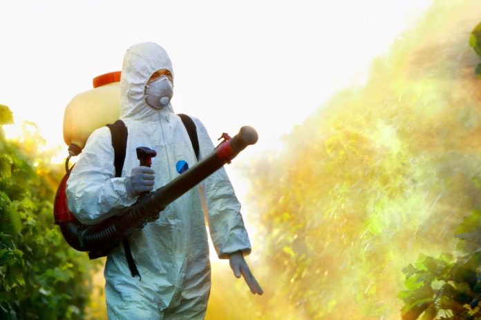 Why Hiring an Expert Pest Control Company Is Essential for Your Home