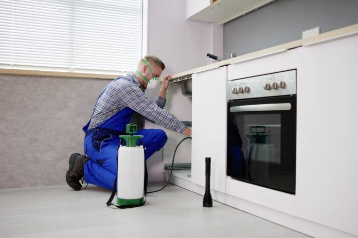 Why Hiring an Expert Pest Control Company Is Essential for a Pest-Free Home