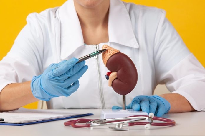 Dialysis vs. Kidney Transplant Which Is the Better Option 