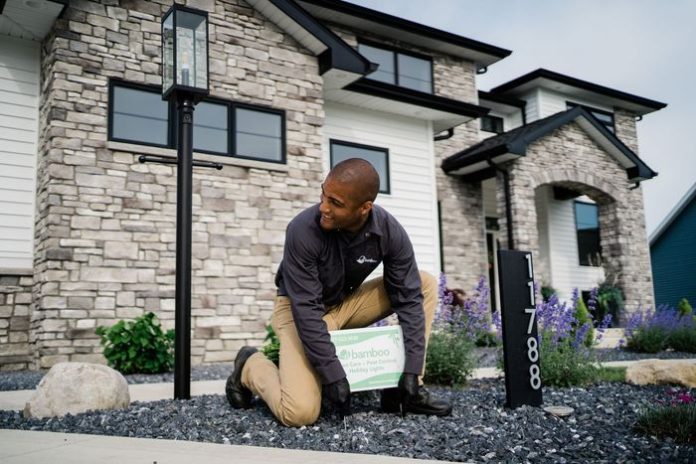 DIY rodent control might help for a little while, but it usually doesn’t solve the whole problem.