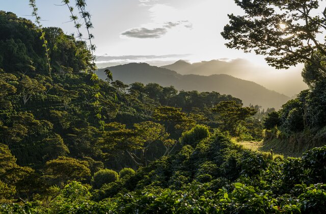 Benefits of the Panama Pensionada Visa for Retirees Seeking a New Lifestyle