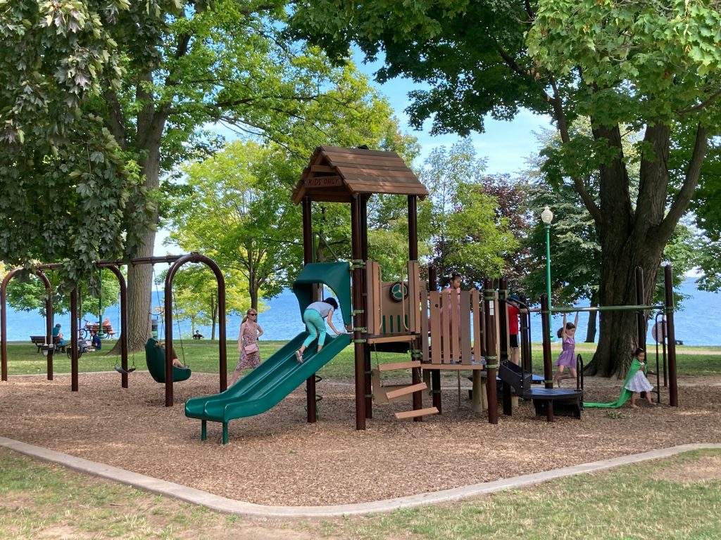 Community playground in a park setting with soft mulch surfacing
