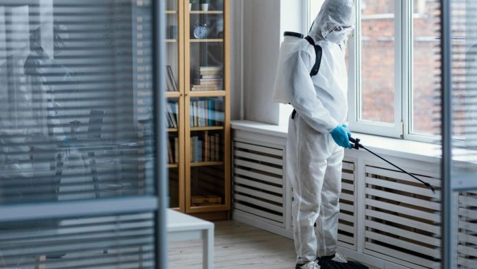 Home Improvement Projects to Keep Pests Away