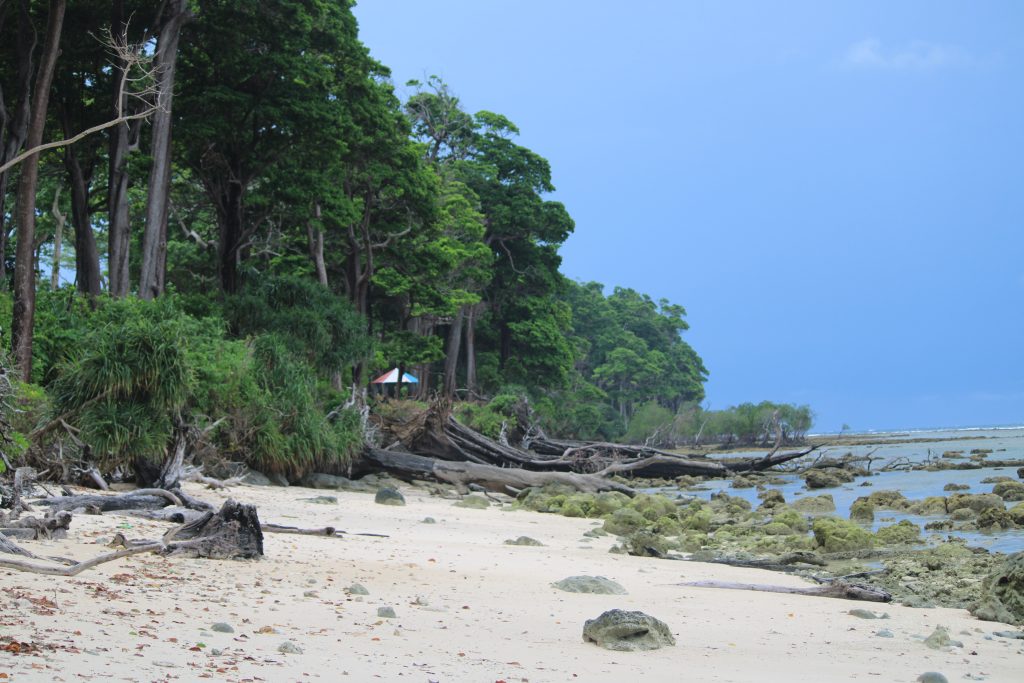 Neil Island – The Island of Tranquility