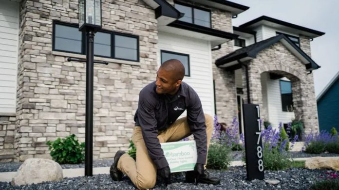 How Pests Survive the Rain