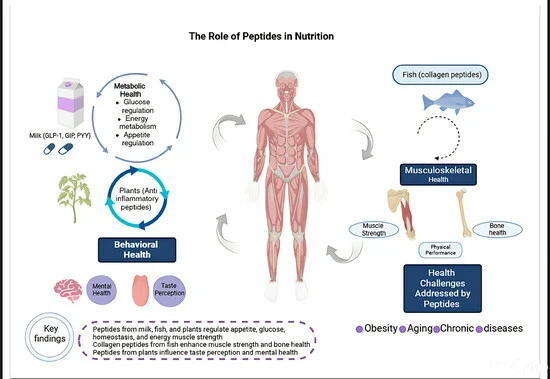 Understanding PSC Products and Their Role in Daily Health
