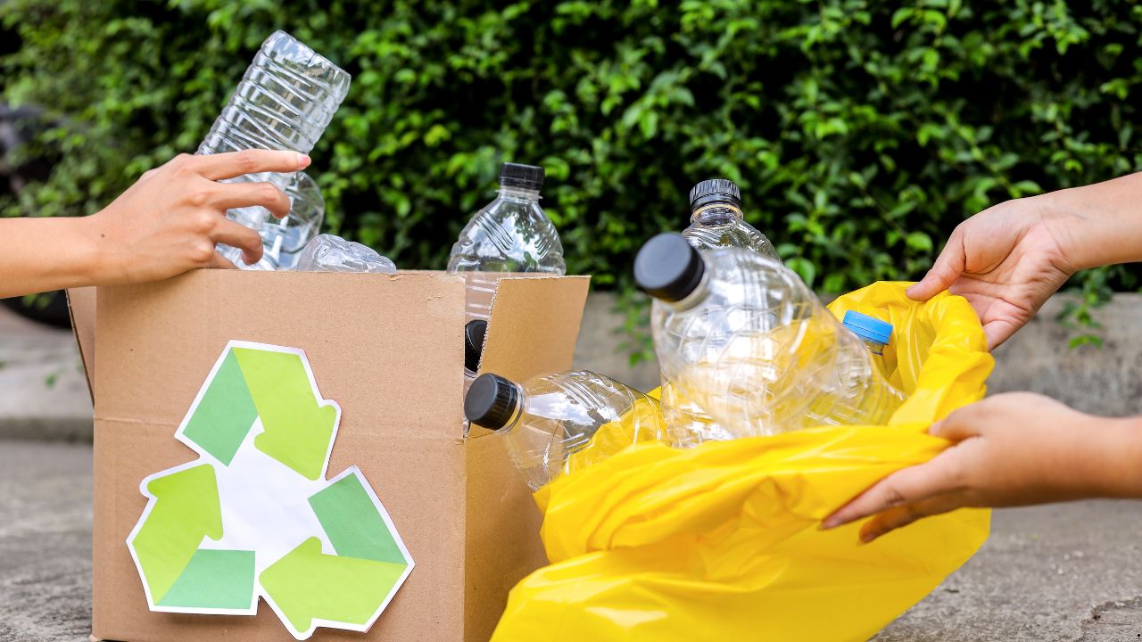 Cost Comparison: Hire vs Buy Waste Equipment