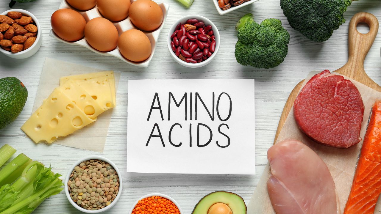 Why Essential Amino Acids Are Central to Muscle Repair and Daily Performance