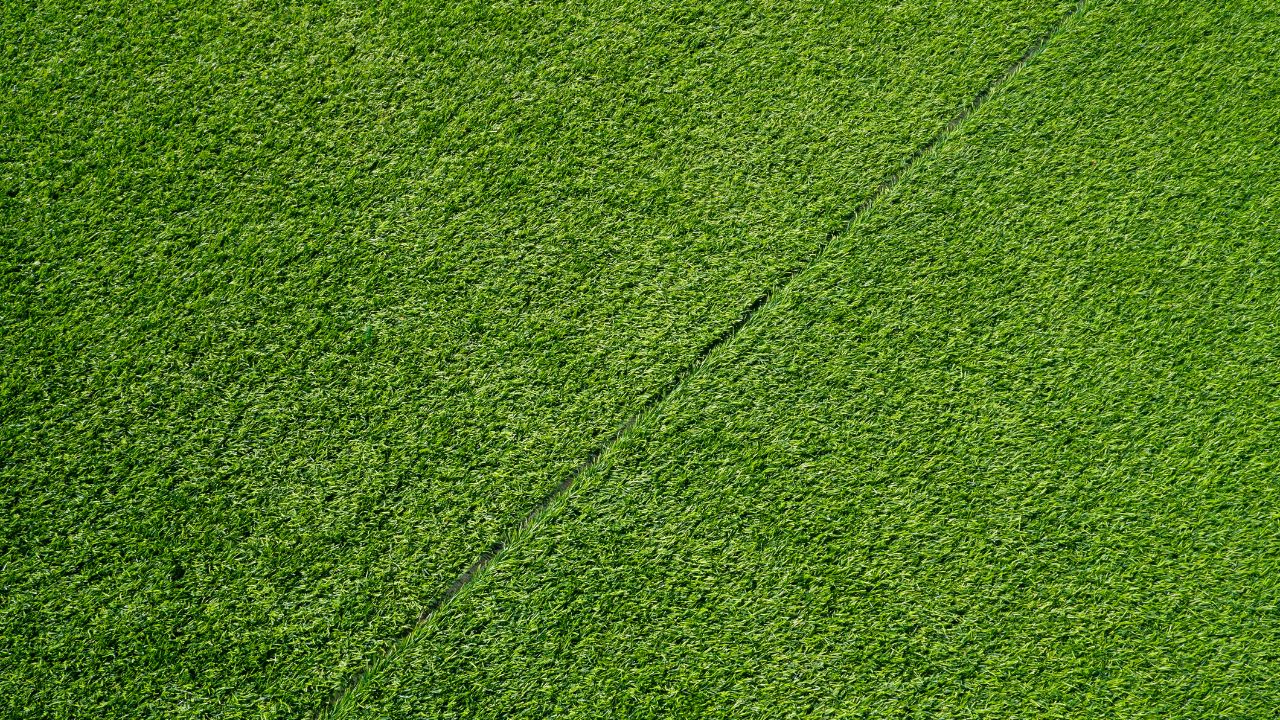 Pet-Proof & Heat-Ready: The Perth Homeowner’s Guide to Artificial Grass