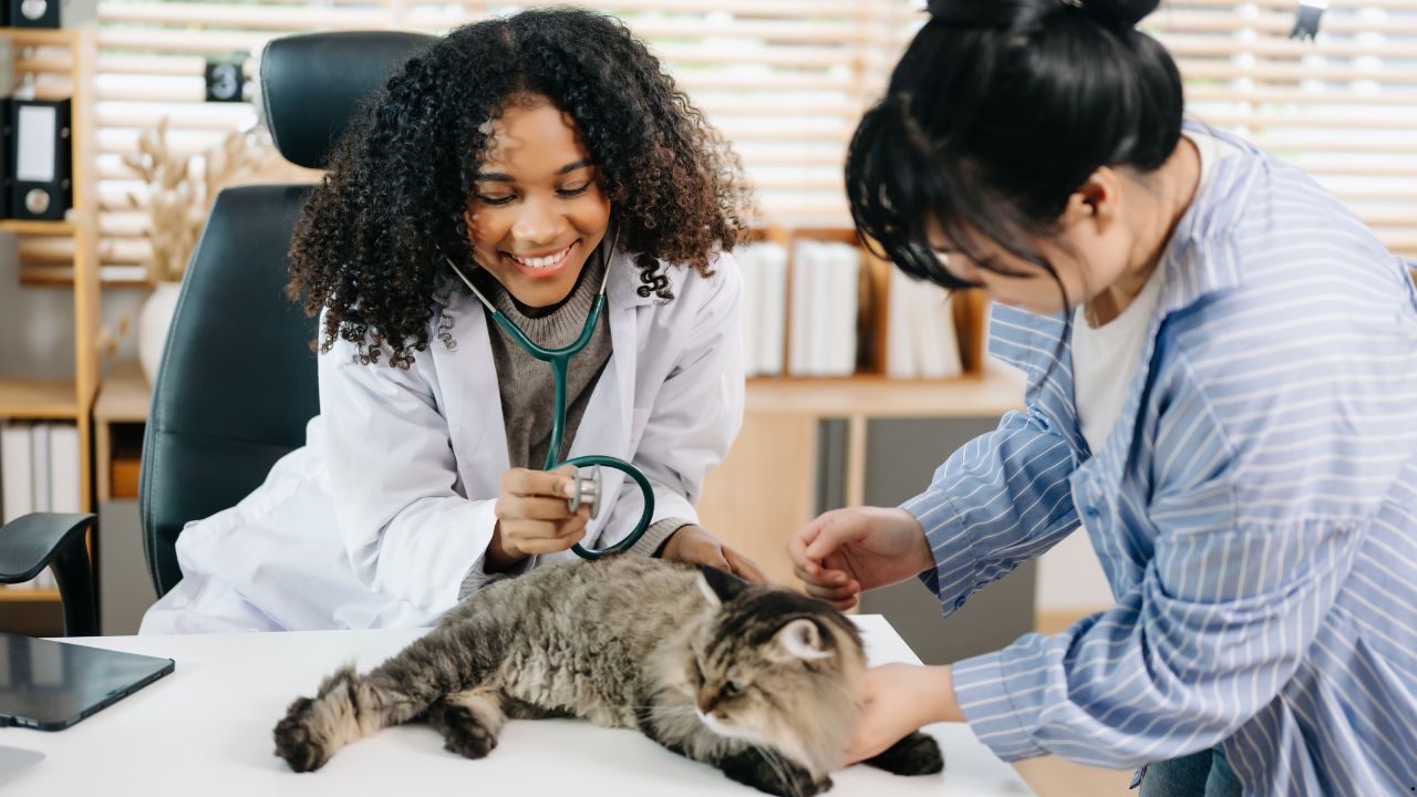 Recognising When Your Pet Needs Emergency Veterinary Care