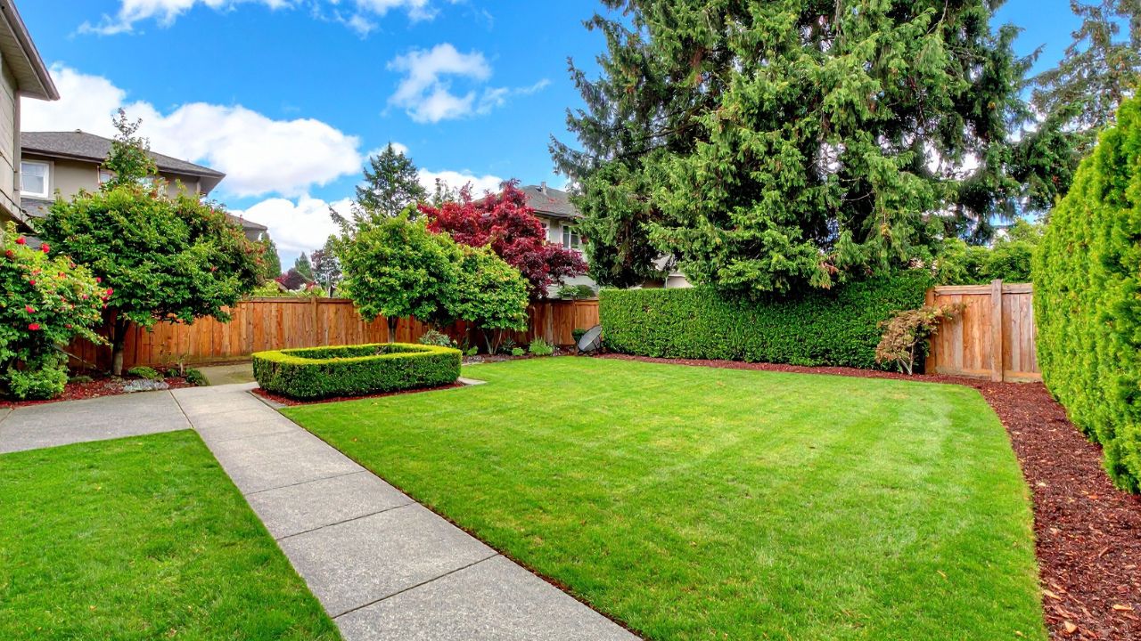 Eco-Friendly Landscaping Practices for Beautiful Yards
