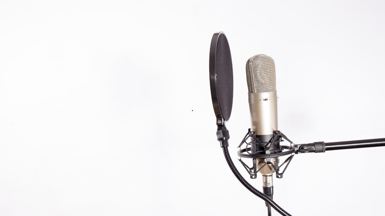 NVH measurement microphone